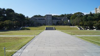 고려대학교